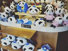 -熊猫屋(宽窄巷子景区店)