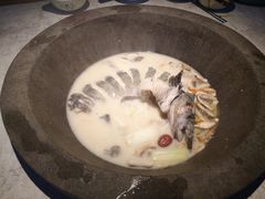 -鲜潭蒸汽石锅鱼(五道口购物中心店)