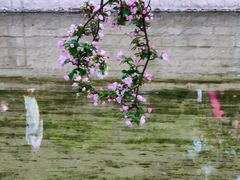 -海棠花溪(元大都城垣遗址公园)