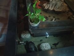-大桶大足浴(陈春路店（3公里左右免费接送）)