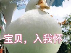 -原怡园面馆(拙政园店)