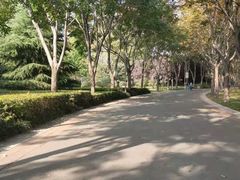 -郑州植物园