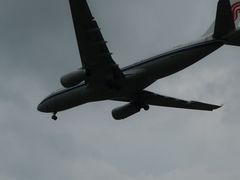 -空港花田景区