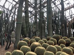 -南山植物园