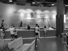 -蒙特利亲子乐园