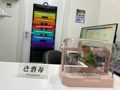 -立德异宠动物医院.兔鸟爬.内窥镜(天河店)
