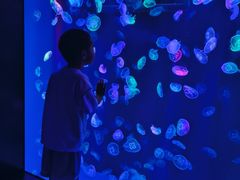 -海合安成都极地海洋公园