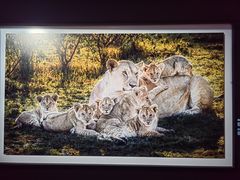 -罗红摄影艺术馆