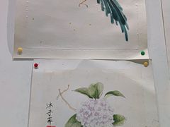 -学知乐教育·幼小衔接·小学科辅导(嘉定镇校区)
