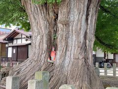 -医王山·飞騨国分寺