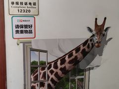 -姥家大锅台水库渔家