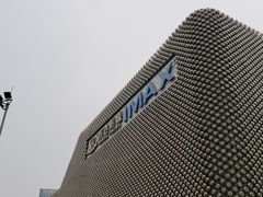 -万达影城(汉街万达广场IMAX店)