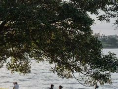 -悉尼海港大桥
