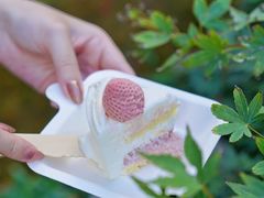 -壹点壹客·生日蛋糕(南山店)