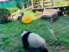 -大连森林动物园