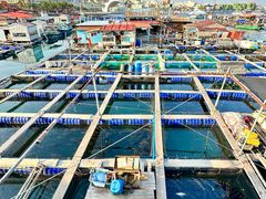 -蓝湾碧波·老字号·疍家非遗海上餐厅