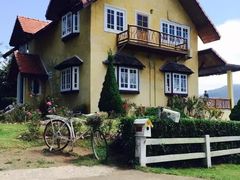 -黄色小屋