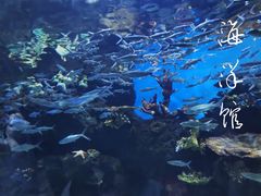 -华夏文旅海洋公园