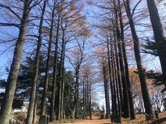 -四明山国家森林公园