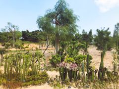 -东莞植物园