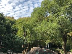 -赭山公园