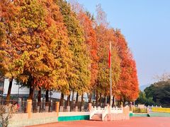 -广东外语外贸大学(白云山校区)