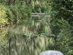 -洛阳市隋唐城遗址植物园