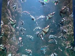 -海合安青岛极地海洋公园