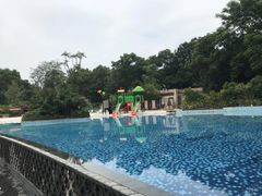 -成都保利公园皇冠假日酒店(熊猫基地店)