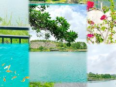 -水濂山森林公园