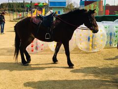 -武汉紫薇都市田园