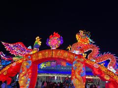 -大连老虎滩海洋公园