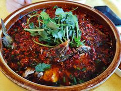 -胖大姐黄辣丁鱼庄(新津店)