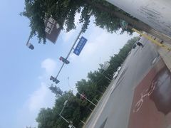 -南宫五洲植物乐园