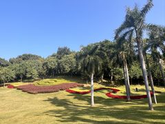 -广州市白云山风景名胜区