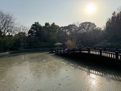 -朴园