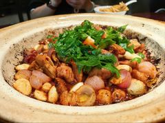 啫啫肥肠黄鳝煲-永安鱼庄·镇江菜(东吴路店)