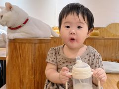 -有猫主题·治愈系猫咖(曾厝垵店)