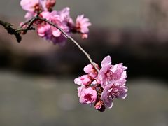 -静安雕塑公园