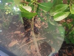 -上海昆虫博物馆