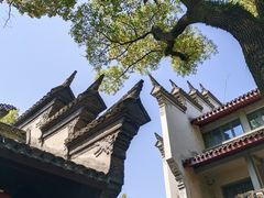 -天一阁博物院