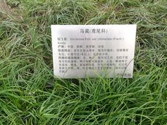 -丰台花园