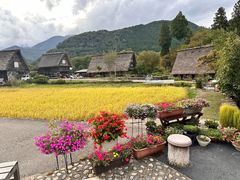 -白川乡与五箇山的合掌构造村落
