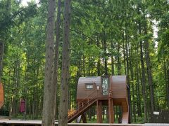 -黄海国家森林公园