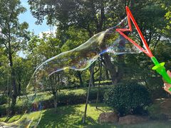 -杭州半山国家森林公园