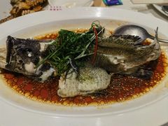 清蒸老虎斑-79号渔船海鲜饭店(宝安店)