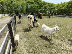 -BabyA 专业婴童摄影(古北时尚广场店)