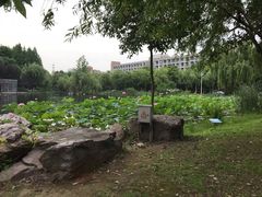 -杭州师范大学(下沙校区)