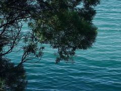-广州市流溪河国家森林公园