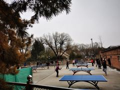 -康庄公园